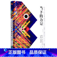 [正版]当下的力量:白金版