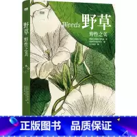 野草:野性之美 [正版]野草:野性之美