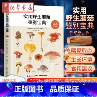 [正版]实用蘑菇鉴别宝典 大作晃一 吹春俊光 蘑菇使用图鉴书籍 食用蘑菇菌菇松茸菌类菌毒蘑菇识别方法采书蘑菇百科书籍
