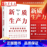 [全2册]低空经济+新质生产力 [正版]新质生产力 中国创新发展的着力点与内在逻辑 林毅夫 黄奇帆 郑永年等解读 理解中