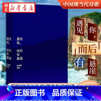 [正版]遇见你而后有悬崖 丝绒陨诗集 词语景观 爱的险境 一位当代精神漫游者的肖像 我们机械日常的升华与变奏中国现当代