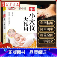 图解小穴位大作用 [正版]图解健康知识丛书 图解小穴位大作用 段玉春 著 了解人体重要穴位 对其位置功效对应病症进行详细