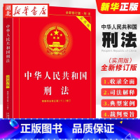 [正版]2024新版 中华人民共和国刑法 实用版 第十版 根据刑法修正案(十二)全新修订 刑法第二十条 中国法制出版社