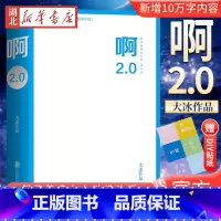 [正版] 赠DIY贴纸+新增10万字内容 啊2.0 大冰2020作品 乖摸摸头小孩你坏好吗好的我不阿弥陀