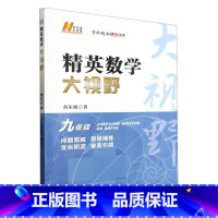精英数学大视野·九年级 [正版]精英数学大视野·九年级