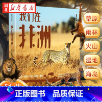 [正版]我们在非洲 非洲的青山 著 非洲动物观察笔记 深入非洲感受生命的丰盛与广博 和动物相伴15年的的一手观察手记