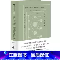 穿越月色宁谧 [正版]穿越月色宁谧