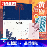 [正版] 黄昏后 杨知寒著 人民文学奖得主青年作家杨知寒全新小说集 撕下伪装 剖析隐藏的成长之痛 孤独之泪 出