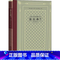 [正版]书店 外国文学名著丛书 怎么办?车尔尼雪夫斯基著蒋路译狱中写下长篇小说 世界经典文学名著人民文学出版社图