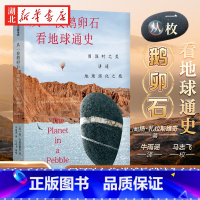 从一枚鹅卵石看地球通史 [正版]从一枚鹅卵石看地球通史 扬·扎拉斯维奇 著 牛津科学里程碑系列经典之作 用深时之美讲述1