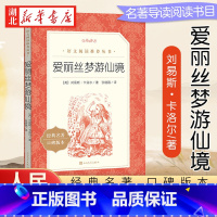 爱丽丝梦游仙境 [正版]爱丽丝梦游仙境 三四五年级课外书经典书目语文阅读丛书书小学生课外阅读书籍名著小说漫游奇境记