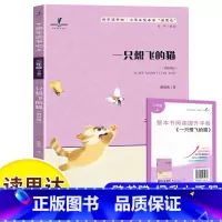 一只想飞的猫 [正版]读思达 一只想飞的猫 陈伯吹著 整本书阅读 二年级 上册 2024秋季 快乐读书吧