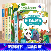 小手摸摸大自然套装[加厚版4册] [正版]QHL宝宝的第一本触摸书 婴儿书早教益智玩具0到2-3岁绘本1岁半立体书地板书