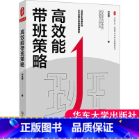 [正版]高效能带班策略 大夏书系 全国中小学班主任培训用书 中小学班级管理 学校管理 祁进国 著