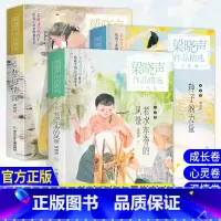 慈母情深+老水车旁的风景+种子的力量 [正版]王芳梁晓声作品精选少年版全3册慈母情深老水车旁的风景种子的力量人世间活法人