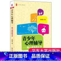 [正版]青少年心理辅导助人成长的艺术 大夏书系 教育艺术 吴增强 青春期 性心理 生命教育 压力应对 人际关系 人生规