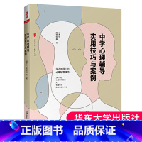 [正版]中学心理辅导实用技巧与案例教育心理学教育类书籍教师用书班主任典型心理辅导案例中小学生教育理论基础综合知识书籍畅