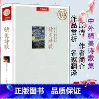 [正版]精美诗歌徐志摩顾城海子舒婷席慕蓉林徽因泰戈尔歌德雪莱席勒济慈王尔德名家诗歌现代诗歌精选诗歌鉴赏中国现当代诗歌理