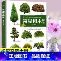 [正版]常见树木图鉴园林绿化书籍园林花草树木图鉴大全苗木书籍植物图鉴书籍大全绿化树苗木庭院园林植物园林树木学成人版苗木