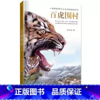 [正版]2019暑假读一本好书 百虎围村-动物故事大王马文秋探野传奇 2019年暑假读一本好书系列