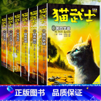 猫武士四部曲 [正版]猫武士四部曲星预言新译本第四学徒战声渐近暗夜密语月光印记武士归来群星之战动物励志传奇故事全6册艾琳