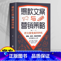[正版]4本28元文案与营销策略把文案变成印钞机好文案写作思路技巧要点文案范例市场营销电子商务品牌推广文案写作范例