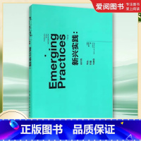 新兴实践 [正版]新兴实践 设计的专业价值与途径 中国建筑工业出版