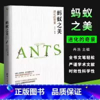 蚂蚁之美(进化的奇景) 初中通用 [正版]蚂蚁之美 进化的奇景 科学与自然生物世界科普书籍