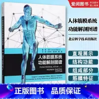 人体筋膜系统功能解剖图谱 [正版]人体筋膜系统功能解剖图谱 王行环 北京科学技术出版社 意大利引进中文简体版 筋膜健身书