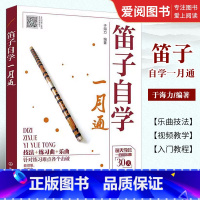 [正版]笛子自学一月通 于海力 化学工业出版社 笛子教学入门书笛子演奏基本技法 竹笛吹奏技巧书 笛子演奏自学教程书籍