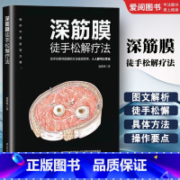 筋膜徒手松解疗法 [正版]筋膜徒手松解疗法 盛德峰 北京科学技术出版社 放松书肌筋膜松解术肌筋膜疼痛 触发点疗法筋膜健身