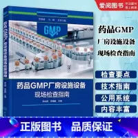 药品GMP厂房设施设备现场检查指南 [正版]药品GMP厂房设施设备现场检查指南 李永辉 化学药品各剂型检查要点 药品G