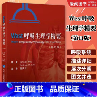 West呼吸生理学精要 第11版 [正版]West呼吸生理学精要 第11版 北京大学医学出版社 呼吸系统人体生理学血流代