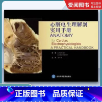 心脏电生理解剖实用手册 [正版]心脏电生理解剖实用手册 北京大学医学出版社 燕何 恩斯特 吴书林 著 医学书籍