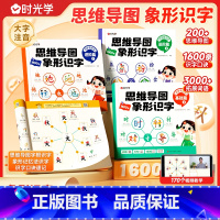 思维导图象形识字(全4本) [正版]专注力一日一练幼儿记忆力训练思维训练2-4-9岁幼儿全脑开发大脑智力听觉视力开发训练