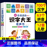 会说话的识字大王有声书 [正版]宝宝学说话语言表达启蒙绘本全10册 0-1-2-3岁儿童早教书籍适合一岁半到两岁宝宝幼儿