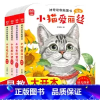 [大开本]神奇动物触摸书 4册 [正版]神奇动物触摸书小猫老虎青蛙猫头鹰婴幼儿启蒙早教小鸡球球触摸书宝宝0-3岁儿童启蒙