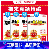 [郑州专版]人教版语数英+大象科学 4本 三年级上 [正版]2024秋上各地期末真题精编安徽郑州武汉西安雁塔新题语文数学