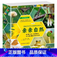 亲亲自然11册 [正版]亲亲自然系列全套11册 自然科学启蒙绘本图书3-6-12岁小学生一二三四年级课外阅读动物昆虫小百