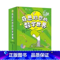 奇思妙想的数学世界6册 [正版]奇思妙想的数学世界全6册神秘的数字神奇的点一看就懂的图表不可