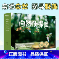 自然侦探团全7册 [正版]自然侦探团全7册家庭教育读本亲子共读幼儿小学生科普动物植物生命探索生态魅力故事好奇心温情细腻有