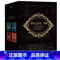 [正版]人生智慧与勇气四书 拿破仑+传爱的提奥梵高传+特斯拉传+甘地自传珍藏版4册 名人经典大师和人物传记