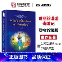 爱丽丝漫游奇境记 英文 [正版]振宇书虫|爱丽丝梦游仙境英文版原版原著 爱丽丝漫游奇境记书 镜中奇缘儿童文学童话小说小学
