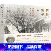 [正版]树影 鸽子 人:胡同北京的生趣与乡愁 铅笔绘画 喜爱北京胡同文化的人艺术品收藏者 打动人老北京人随性宽厚的