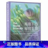 [正版]海面下的秘密生命 理查德史密斯 古怪的海马情侣 开诊所的鱼和它的的骗子亲戚 珊瑚礁居民的忙碌生活