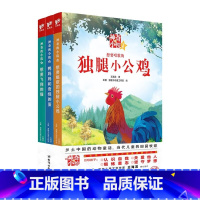 神奇的小院(全三册) [正版]神奇的小院全3册想要唱歌的独腿小公鸡鸭妈妈和奇怪的蛋想要飞翔的猫台海出版社班班有读45期中