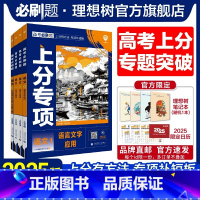 [4本套]语文1234 高考必刷题·上分专项[语文专题] [正版]理想树2025版高考必刷题上分专项语文专题版语文123