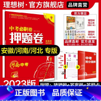 套装:数物化3本[辽宁专用] 九年级/初中三年级 [正版]理想树2024版中考押题卷数学语文英语物理化学历史道德与法治河