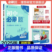 数学 XJ 九年级下 [正版]理想树2025版初中必刷题九年级下册数学湘教版XJ初三必刷题同步练习中考复习资料模拟题辅导