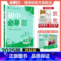 物理 SK 九年级下 [正版]理想树2025版初中必刷题九年级下册物理苏科版SK初三必刷题同步练习中考复习资料模拟题辅导